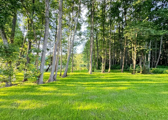 Nauji Apartamentai Palangoje Nemirsetos Parke Apartment *